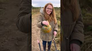 Picked Your Pumpkins? 🎃 Croston Pumpkin Patch, Lancashire