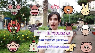 Expats in China truly believe Chinese zodiac signs!! |Chengdu Plus