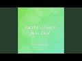 Parallel Universe Next Door