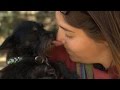 Pet owners risk getting diseases from their furry friends Pet owners risk getting diseases from their furry friends