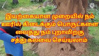 புறாகளுக்கு சத்து கலவை எளிதாக செய்யலா / How to make pigeon girt / easy natural girt