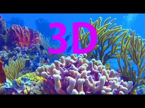 In 3D, The World Beneath The Ocean - A Underwater 3D Channel Film
