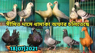 দাম সীমিত | আফসান বাঘা বিউটি লাক্ষা রেসার ড্যানিশ | Afsan Bagha Girijel Danish beauty Lakkha