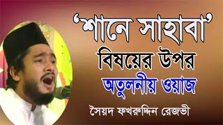 শানে সাহাবা | Sayed Fakhrul Islam Rezvi | সৈয়দ ফখরুল ইসলাম রিজবী | নতুন ওয়াজ  টেক্সঘর | New Waz