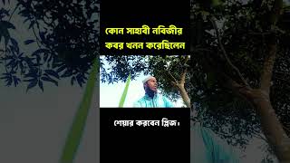 কোন সাহাবী নবীজির কবর খনন করেছিলেন