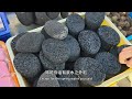 世界地質公園五大連池 世界三大冷泉之一北藥泉💯 天然火山博物館 小興安嶺太美了 香港 旅行團 旅游 中國旅遊 東北 五大連池 北藥泉 溫泊 白龍湖 黑龍江 伊春 小興安嶺