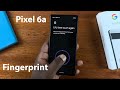 How To Set Up Fingerprint On Google Pixel 6a