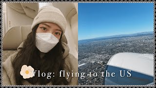 We brought a doggie to the US! (a flying vlog✈️)｜Las Vegas Vlog