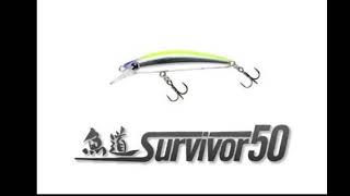 IMA Survivor 50 + Jackson Pygmy Box Heavy Minnow