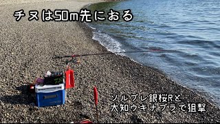 フカセ釣りに最適なデッキバンでチヌ釣りに行くとチヌが釣れます