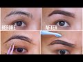 How to pluck your brows the right way | At Home Eyebrow Routine @titiscorner