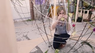 Interflora RHS Chelsea Flower Show Exhibit Succession: Introducing Sophie Watton