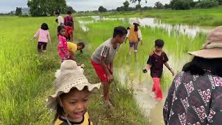 Stir-Fried Rice Field Snails Cha Kroeung ខ្យងស្រែឆាគ្រឿង