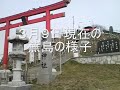 100309蕪島うみねこ.wmv