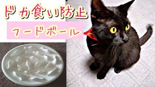 Stopドカ食い！！早食いはよくないぞっ