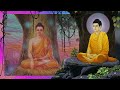 మరణం అంచున బుద్ధుడు gautam buddha’s experiments on meditations for enlightenment devotional