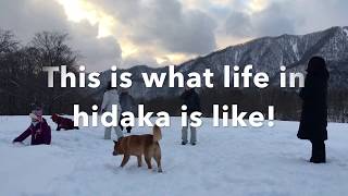 This is what life in Hokkaido is like!