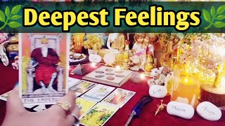 🌿❤Deepest Feelings Next Action With Angel Guidance❤🌿All Signs Collective Timeless Tarot Reading 🌈