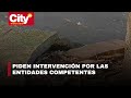 Andenes en mal estado: riesgo constante para los habitantes de Salitre Oriental | CityTv