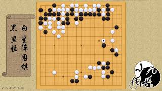 世界人工智能围棋大赛 来自AI的地趟拳