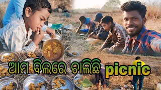 ଆମ ବିଲରେ ଚାଲିଛି Picnic😜|| Picnic Odia Volg || #comedyvideo @କାକାପୁତ୍ରାVlogs