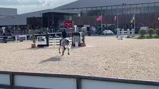 Delicalato vh Marienshof 1* GP CSI Opglabbeek