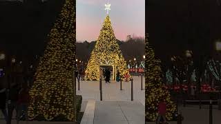 ✨🎄 Sapin spectaculaire, illuminé de mille feux, rivalisant avec la majestueuse tour Magne !