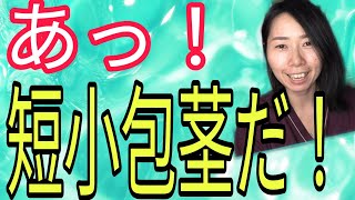 ◯◯とのお風呂が怖い…手術のメリットデメリットとは？