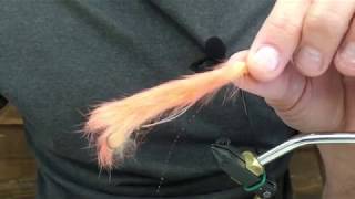 Fly Tying the Polychaete Worm for Puget Sound Sea Run Cutthroat