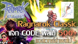 Ragnarok Classic ผลไม้ปรับให้ดอปง่ายจริงมั้ย ลองเอาแอสร่ายเวทย์มาล่าเล่นๆ ฟามๆ