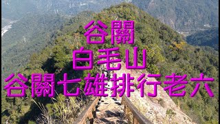 第137集 谷關白毛山 112年02月09日