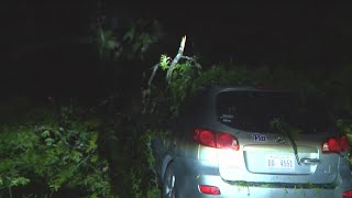 Tuesday's severe storms knocked down trees, power lines, and damaged across the D.C. region.