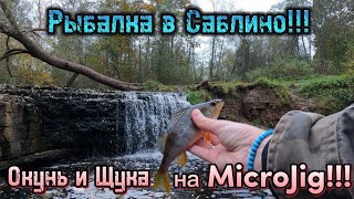 Окунь и Щука на MicroJig!!! | Рыбалка в Саблино!!!