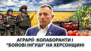 Аграрії - колаборанти і «бойові інгуші» на Херсонщині