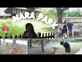 Exploring Nara: Todaiji Temple, Nara Park, Luxury Shopping & Gyu-Kaku Dining | Shiela Padua