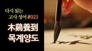 다시 읽는 고사성어 #21 목계양도木鷄養到