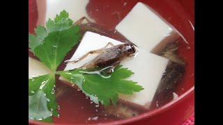 【ドＳグルメ】昆虫食 お取り寄せ編【タガメサイダー　ハードバグ　昆虫ふりかけ　京都コオロギの煮干し】