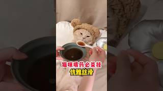 猫咪喂药必杀技  #科学养宠攻略 #萌宠百科