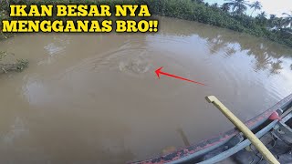 Gak Nyangka Mancing Baung Dapat Rezeki Ikan Besar