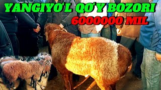 YANGIYOʻL QOʻY BOZORIDAGI BUGUNGI NARXLAR 🐑🐑🐑🐑