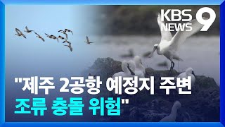 제주 제2공항도 조류 충돌 위험…“새떼 이동 경로 피해야” [9시 뉴스] / KBS  2024.12.31.