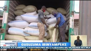 Abacuruzi b'ibinyampeke barinubira igiciro cyo gupimisha Aflatoxin