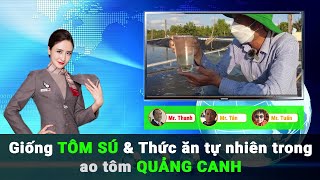 Chia sẽ kinh nghiệm chọn GIỐNG TÔM SÚ và gây tạo THỨC ĂN TỰ NHIÊN