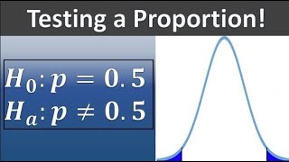 One Sample Proportion Test