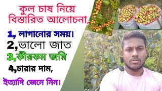 কুল চাষ নিয়ে বিস্তারিত আলোচনা। A.2.Z  কুল গাছ লাগানোর সময়। সঠিক জাত। ইত্যাদি