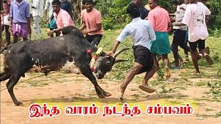 இந்த வாரம் வெட்டிக்காடு களத்தில்