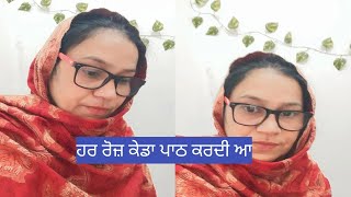 ਮੇਰਾ ਹਰ ਰੋਜ਼ ਦਾ ਵਰਕ #goldenpunjab #withcooking #vlog03 24.12.24