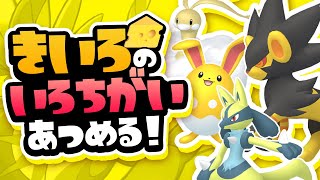 【ポケモンSV】のんびり図鑑埋め！気分転換に色も探したりする！【ニャオハまだいるよ】