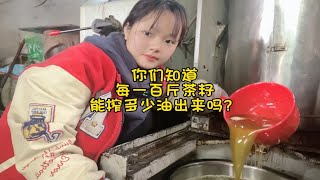 你们知道一百斤茶籽能榨多少茶油出来吗？