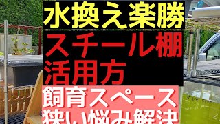 水換え楽勝スチールラック活用